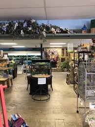 Parents can often be found in our shop saying kids, this is the type of pet shop that i had. Hendersonville Pet Shop 1400 Spartanburg Hwy Hendersonville Nc Pet Shops Mapquest