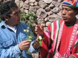 Information and translations of kallawaya in the most comprehensive dictionary definitions resource on the web. Kallawaya Language Project Living Tongues Institute For Endangered Languages