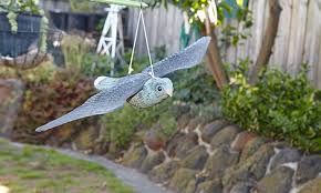 Consider creating visual distractions to scare birds away. Keep Birds Away From Fruit Trees Fruit Trees