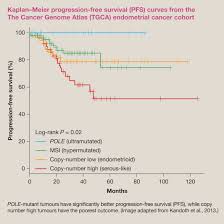 These signs can change depending on the growth of the cancer. Endometrial Cancer An Update Sciencedirect