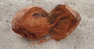 Schreiben sie die erste kundenmeinung. Matratzen Test Kokos Latex Matratze Test Die Besten Naturmatratzen Und Ihre Vor Und Nachteile