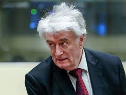 Karadzic launches appeal against UN war crimes convictions
