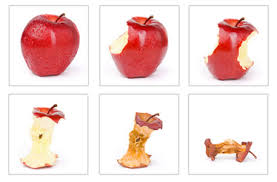 Images Sequentielle De La Pomme My Home Homeschool La Pomme En Maternelle Theme Pomme Pommes Prescolaire