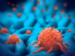 When they've started on the domestic path together, the defenses start to come down, and all energy goes into creating a cozy home. Bringing Immuno Oncology Together How An Immunologist Oncologist Collaborate Drug Discovery World Ddw