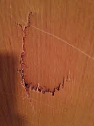 Hollow core doors are light weight, but are easy to damage. Repairing Hollow Core Door Hometalk