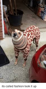 Its Called Fashion Look It Up Dank Meme On Me Me
