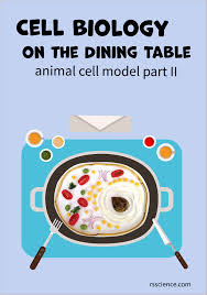 Aug 06, 2021 · like animal cells, plant cells are eukaryotic cells, but with distinguishing features, including chloroplasts, cell. Cell Biology On The Dining Table Animal Cell Model Part Ii Cell Model Animal Cell Animal Cells Model