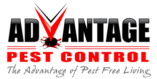 Advantage provides service for cumberland, york, androscoggin, sagadahoc, lincoln, oxford, kennebec and. Exterminator Albany Ny Residential Pest Control Schenectady Ny Commercial Pest Control Schenectady Advantage Pest Control