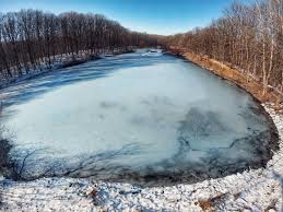 Astăzi, nuferii care ar fi trebuit să îi încânte pe turişti, abia se mai văd printre sticle de plastic, pungi şi stufăriş. Fotografia Zilei A IngheÈ›at Lacul Cu Nuferi Al Lui Eminescu De La IpoteÈ™ti Botosaniul Ro