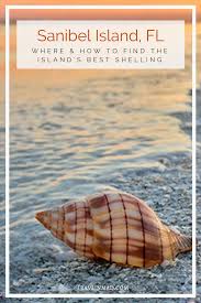 The best time to visit sanibel island if you're looking for a plain answer on the best time to visit sanibel, well, there isn't one. Sanibel Island Shelling A Local S Guide To Finding The Best Shells Travlinmad Slow Travel Blog