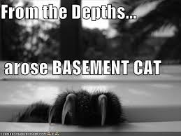 From The Depths Arose Basement Cat Basement Cat Warrior Cats Books Funny Cat Memes