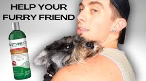 Naturally, they wanted to treat him, but after the vet explained that it would cost $700, they realized that they simply couldn't afford it. Vet S Best Advanced Strength Flea Tick Shampoo Review One Week Follow Up Youtube