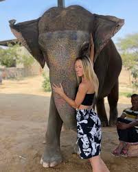 Elephant bathing