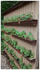36 Ideen Fur Den Gartenbau Mit Kleinem Budget 36 Gartenbau Gartenbeet Landschaftsbau Ideen