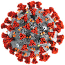 Coronavirus 2019-nCoV: Der Steckbrief des Virus ist im Fluss