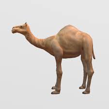You do not even need to make a registration to track your desirable products' prices, you can do that if you want to get alerts. Camel 3d Model Free Download Creazilla
