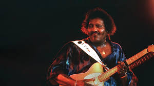 Image result for Albert Collins