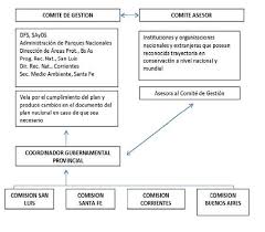 Image result for Rhytachne subgibbosa