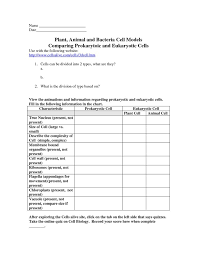 Eukaryotic cells are found in plants, animals, fungi, and protists. 25 Prokaryotic And Eukaryotic Cells Worksheet Answers Worksheet Project List