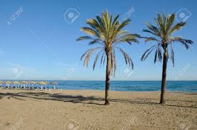Zoek naar hotels in spanje op expedia.be. Palmbomen Op Het Strand Van Marbella In Andalusie Spanje Royalty Vrije Foto Plaatjes Beelden En Stock Fotografie Image 27294322