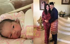 He was born to members of the johor royal family (his paternal side of the family) and the perak royal family. Tunku Alang Reza Family