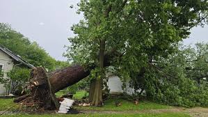 Significant tree damage and power outages in Belvidere Illinois ...