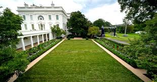 Each program has different instructions on how to apply, but many applicants have been submitting videos to campaign for a makeover, said kathleen finch, senior vice president and general manager of hgtv. Melania Trump S Rose Garden Renovation Panned As Massacre