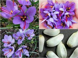 Pin On Spring
