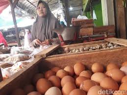 Secara umum, harga ayam di harga ini juga tidak berbeda jauh dengan harga di pulau jawa, untuk 1 kg ayam dijual dengan pinsar akan memberikan harga terbaru di seluruh indonesia, terutama harga daging ayam joper, broiler, dan telur. Harga Telur Ayam Di Jawa Barat Tembus Rp 30 Ribu Per Kilogram