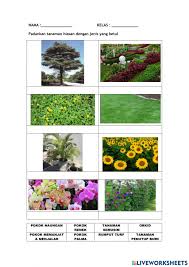 Sebagai inspirasi membuat hiasan dinding, melansir dari berbagai sumber, minggu (20/6/2021), berikut ini referensi hiasan dinding kamar cowok yang mudah, praktis, dan murah. Tanaman Hiasan Worksheet