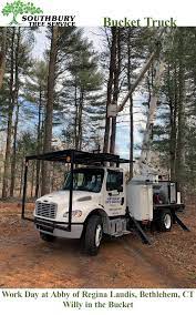 Bob's tree service 129 lum lot rd southbury ct 06488. Southbury Tree Service Added A Southbury Tree Service