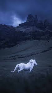 Icelandic Horse Iphone Wallpaper In 2020 Horses Horse Wallpaper Animals Beautiful