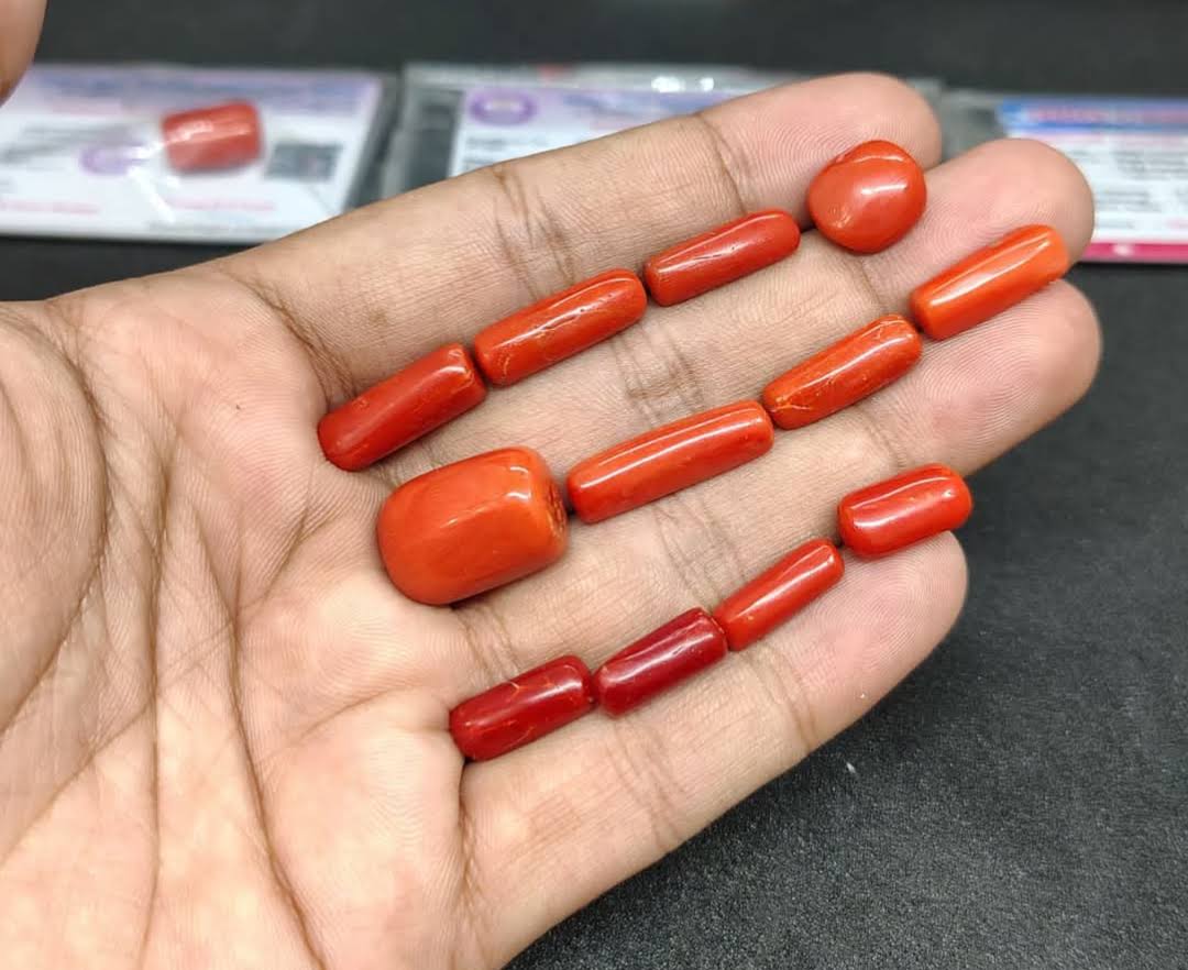 Natural red coral Gemstone product image
