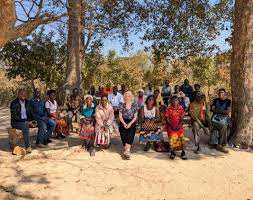 Image result for Viridivia suberosa