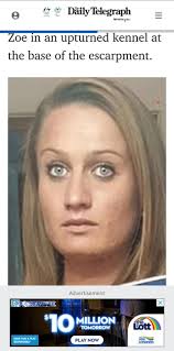 Kaylah Jade Williams admits to throwing dog from cliff : r/wollongong