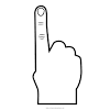Porción profunda del flexor corto del pulgar. 1
