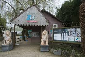 Pas wel op voor de leeuwen hè?! Olmense Zoo Krijgt Nieuwe Naam Pakawi Park Balen Gazet Van Antwerpen Mobile