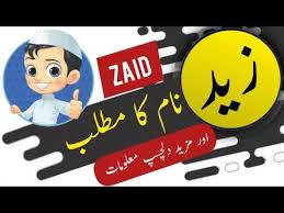 Zaid Name Meaning In Urdu And English With Lucky Number Islamic Boy Na In 2020 Names With Meaning Muslim Boy Names Boy Names