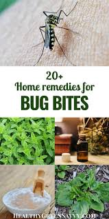With warm weather comes bugs, and with bugs come bites, and with bites come itches. Home Remedies For Mosquito Bites 20 Natural Ways To Stop Itch Fast