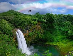 Inquiries can be made at pmrfcottages.fct@navy.mil. Kauai Resorts Afvclub Com