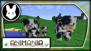See full list on animania.fandom.com Minecraft Animania Wiki
