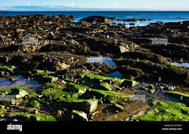 The Cromarty Firth at Hilton, Easter Ross, Scotland Stock Photo