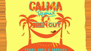 Cuatro abrazos y un café apenas me desperté y al mirarte recordé que ya todo lo encontré. Pedro Capo Farruko Calma Alien Cut Remix Youtube