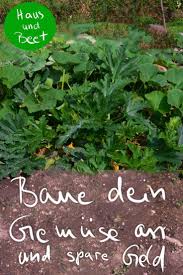 Dafür brauchst du kaum mehr als einen zeichenblock und ein paar tolle ideen und vielleicht ziehst du schon bald in das neue zuhause ein, das du dir erträumt hast. Baue Dein Eigenes Gemuse An Und Spare Geld Haus Und Beet Gemuse Anbauen Gartenarbeit Gemusegarten Anlegen