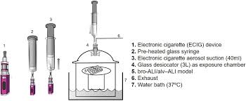 To require tobacco manufacturers to . Addressing The Challenges Of E Cigarette Safety Profiling By Assessment Of Pulmonary Toxicological Response In Bronchial And Alveolar Mucosa Models Scientific Reports