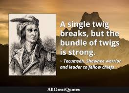 Kris white of the american battlefield trust gives a full overview of the war of 1812. Tecumseh Quotes Top 42 From Shawnee Chief