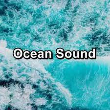 Surf sends waves hissing up the sandy . Ocean The Ocean Waves Sounds Ocean Waves Sleep Aid Ocean Sound Play On Anghami