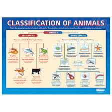 Animal Worksheet New 756 Animal Classification Worksheet Doc