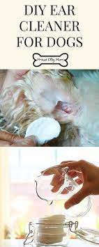 Easy Effective Diy Ear Cleaner For Dogs Proud Dog Mom Ear Cleaning Dog Ear Cleaner Diy Dog Stuff