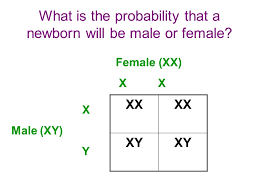 1 Dna 2 Gene 4 Genome 5 Individual 3 Chromosome 7